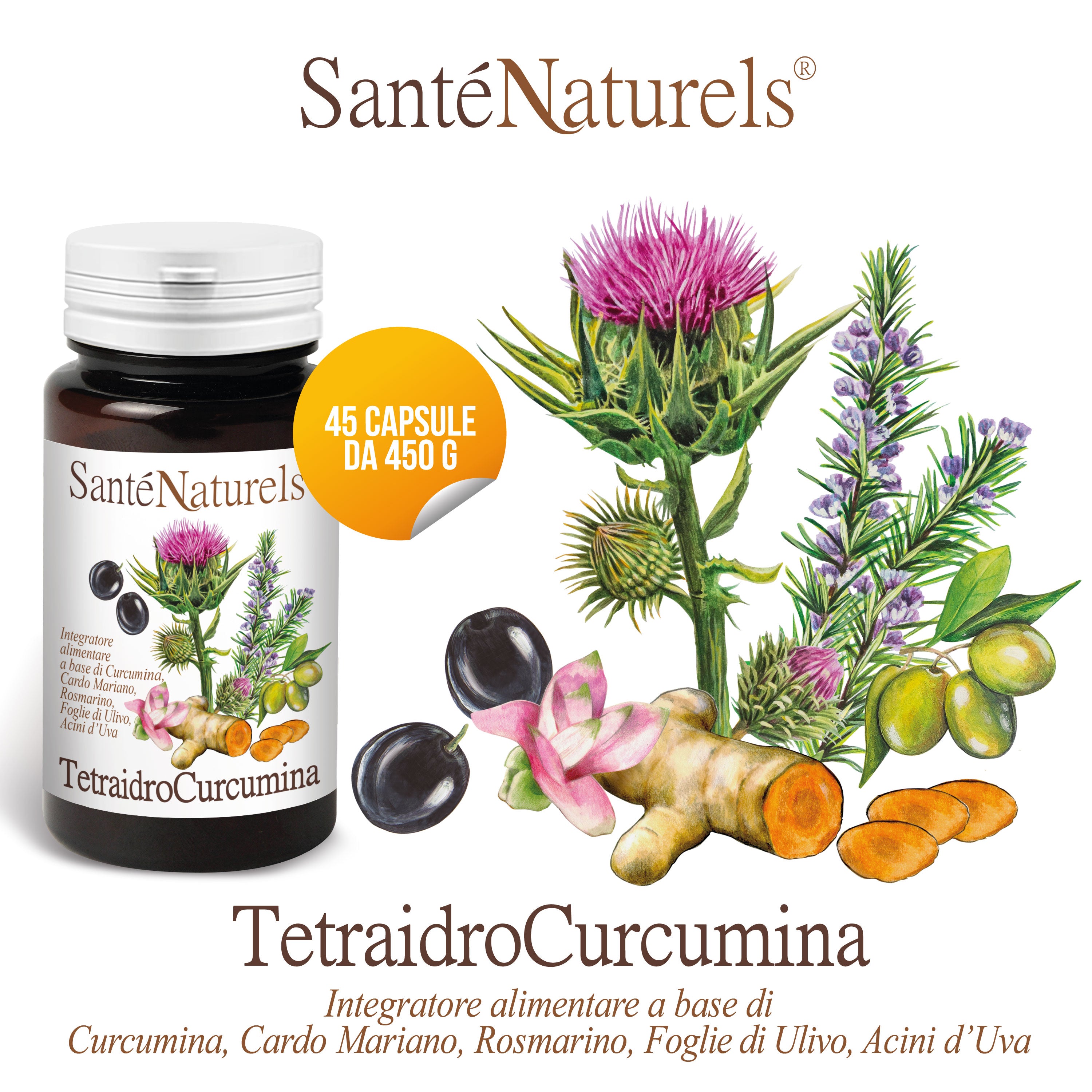 TetraIdroCurcumina Potenziata in Capsule Altissimo Assorbimento