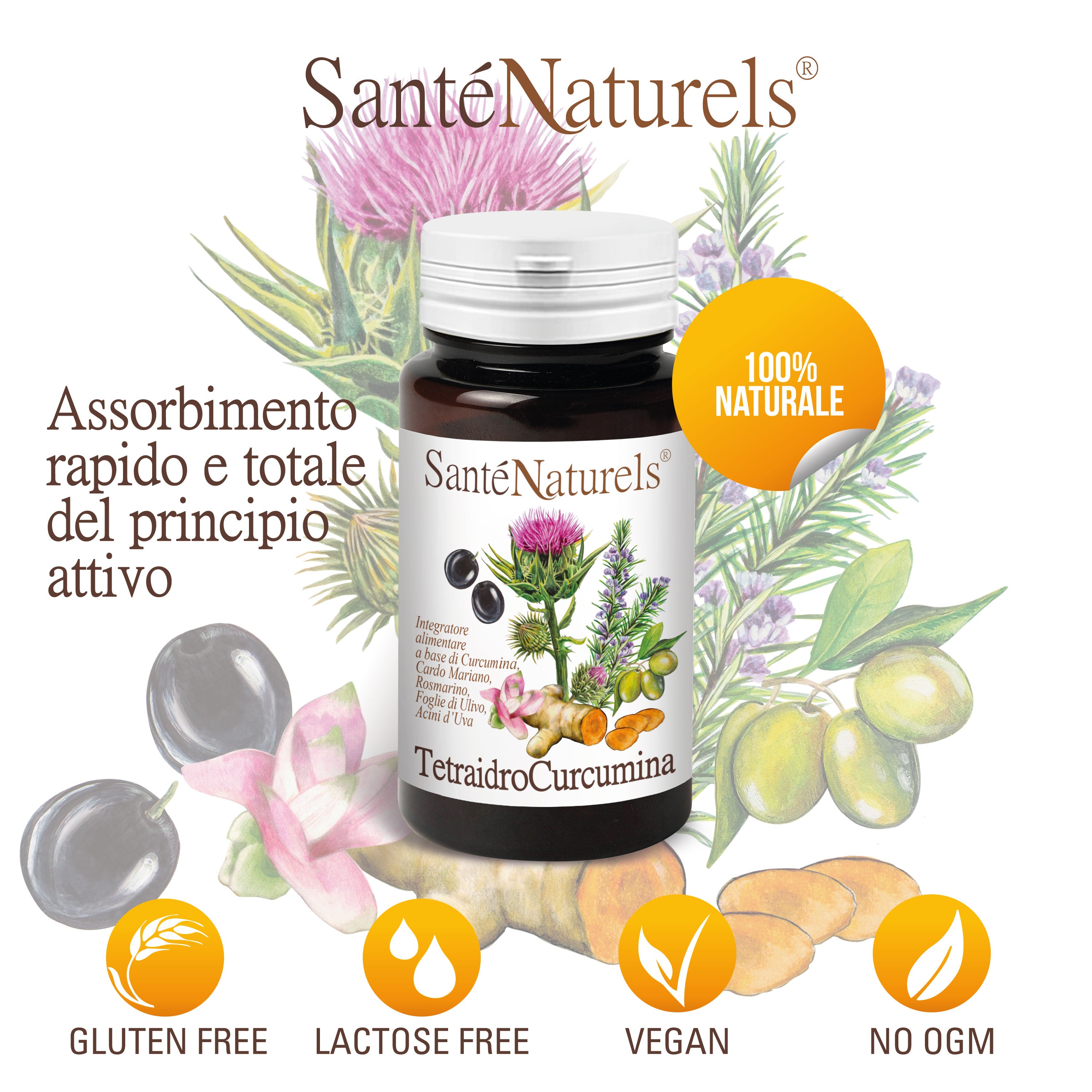 TetraIdroCurcumina Potenziata in Capsule Altissimo Assorbimento