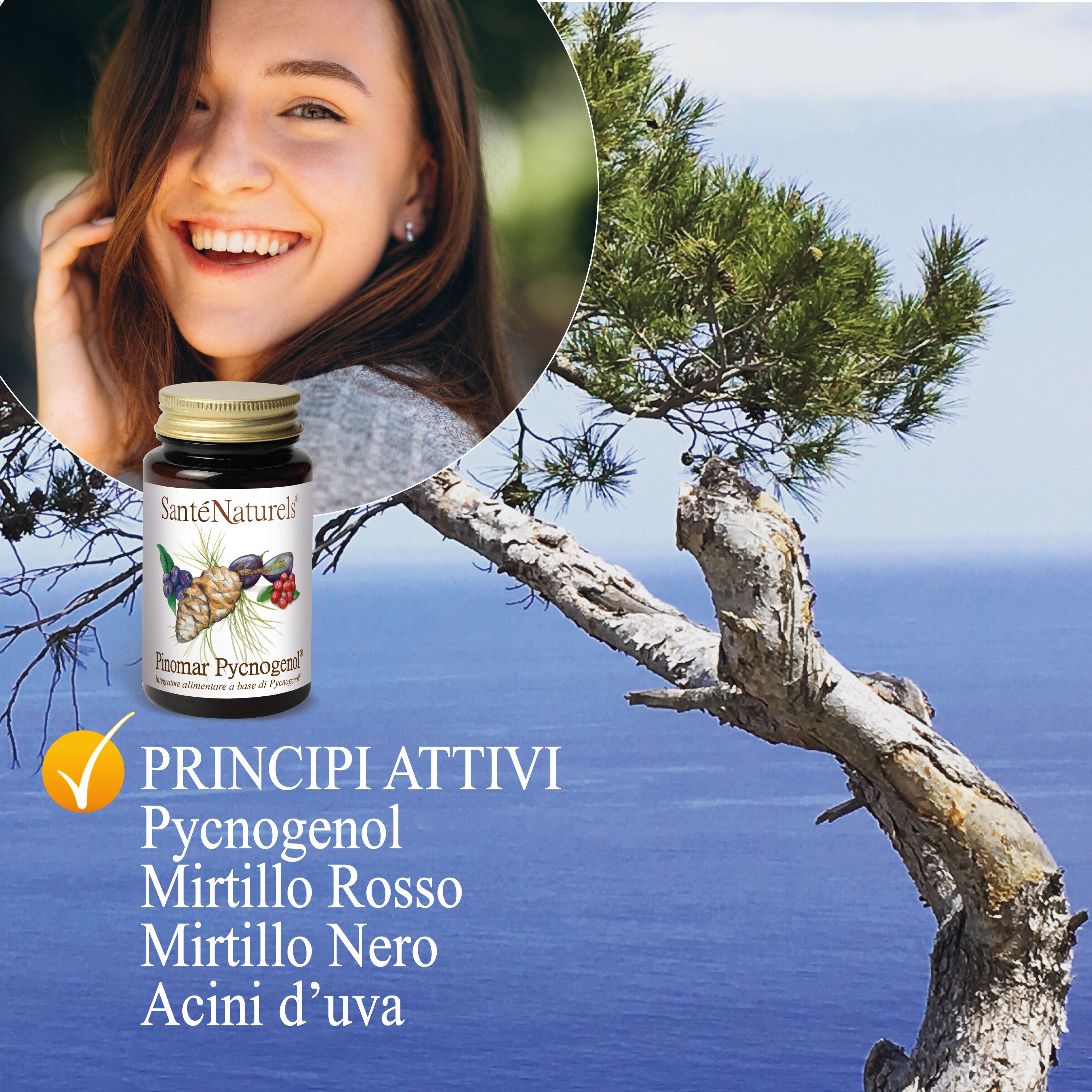 Pinomar Pycnogenol® 40mg por dosis diaria. Ojos, presión, articulaciones, circulación, piernas pesadas