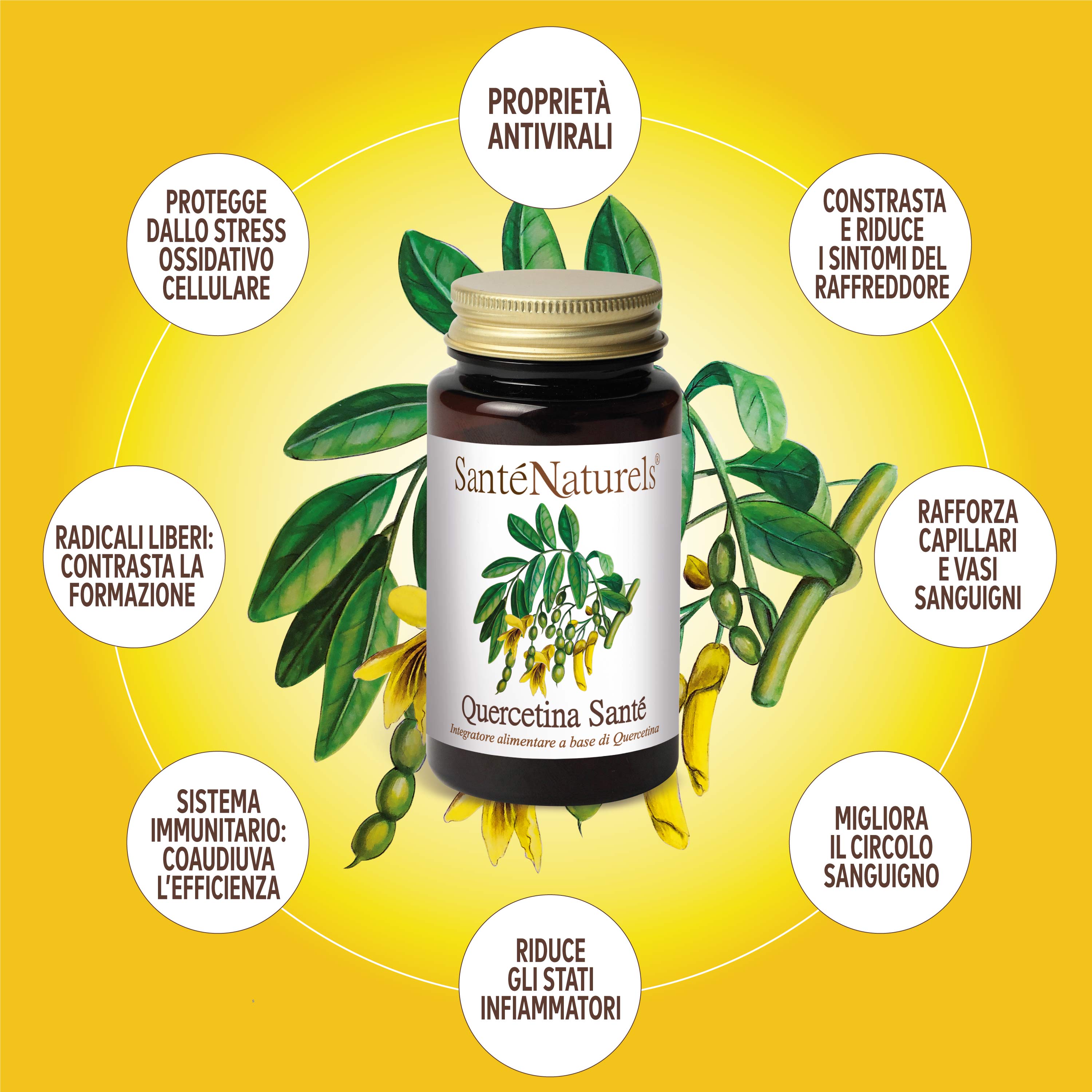 Quercetina Santé® 200 mg – 90 Capsule Vegetali Antiossidante Naturale