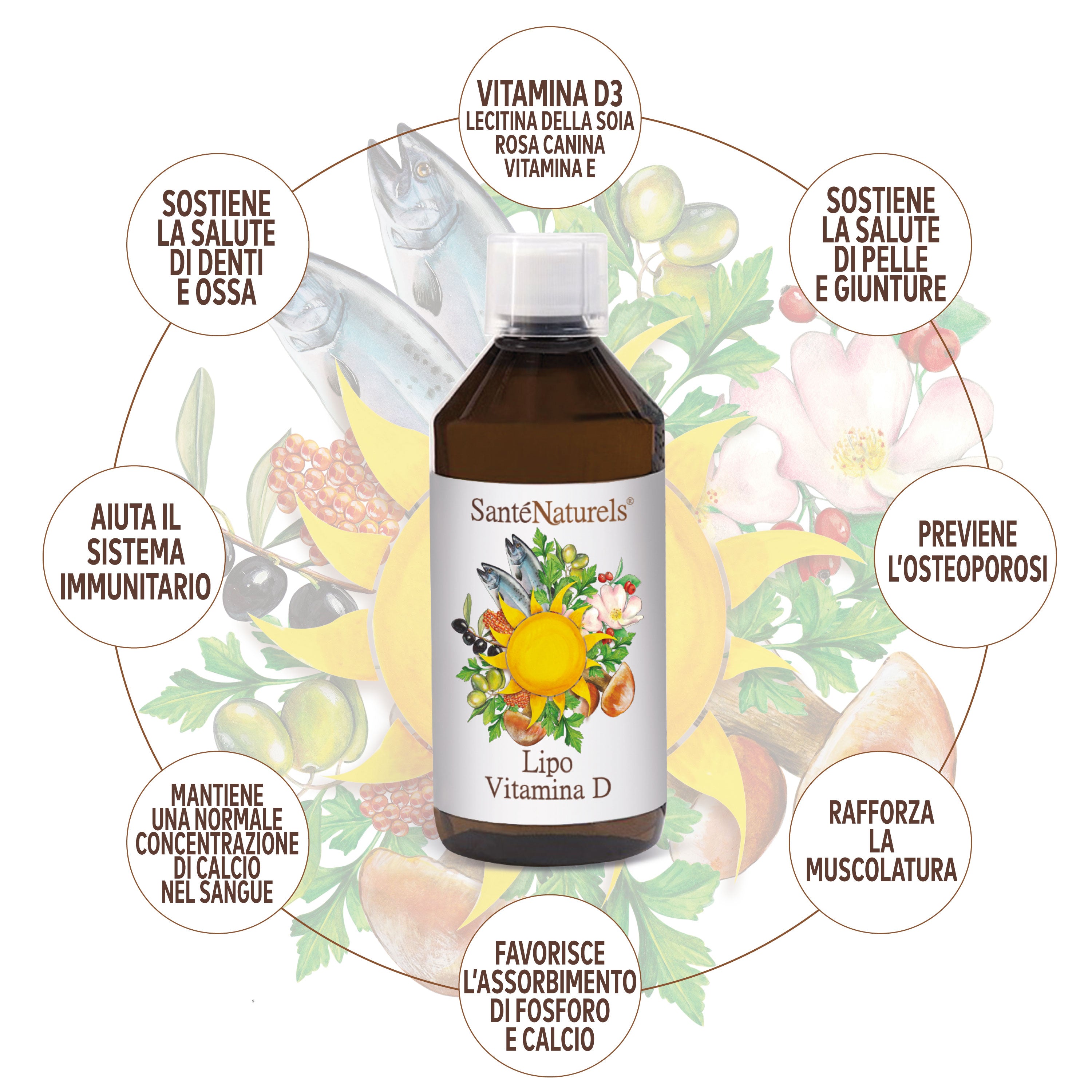 Lipo Vitamina D Liposomal Alta Absorción 250 ml. Vitamina D en liposomas