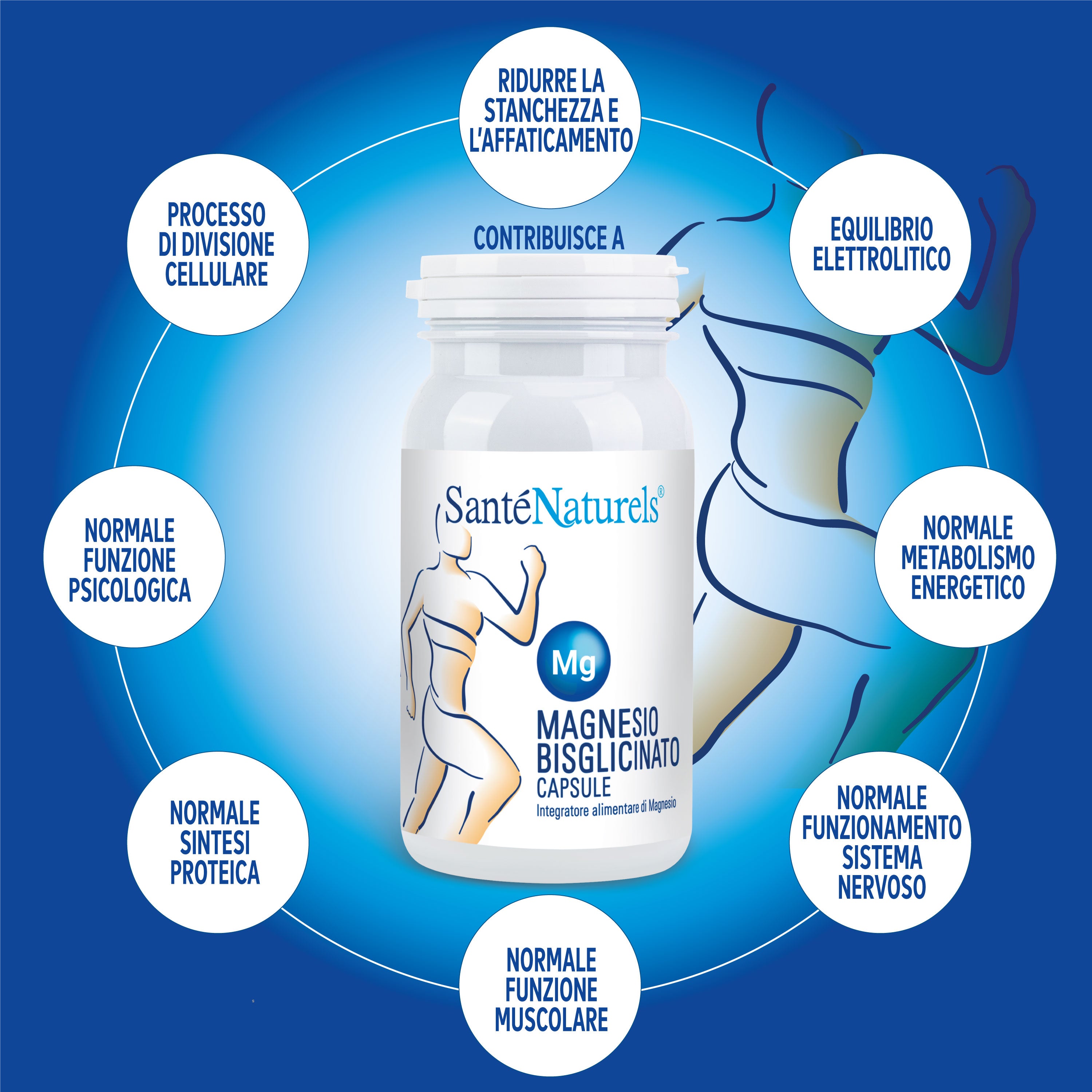 Magnesio Bisglicinato Chelato ad Alta Biodisponibilità – 250 Capsule