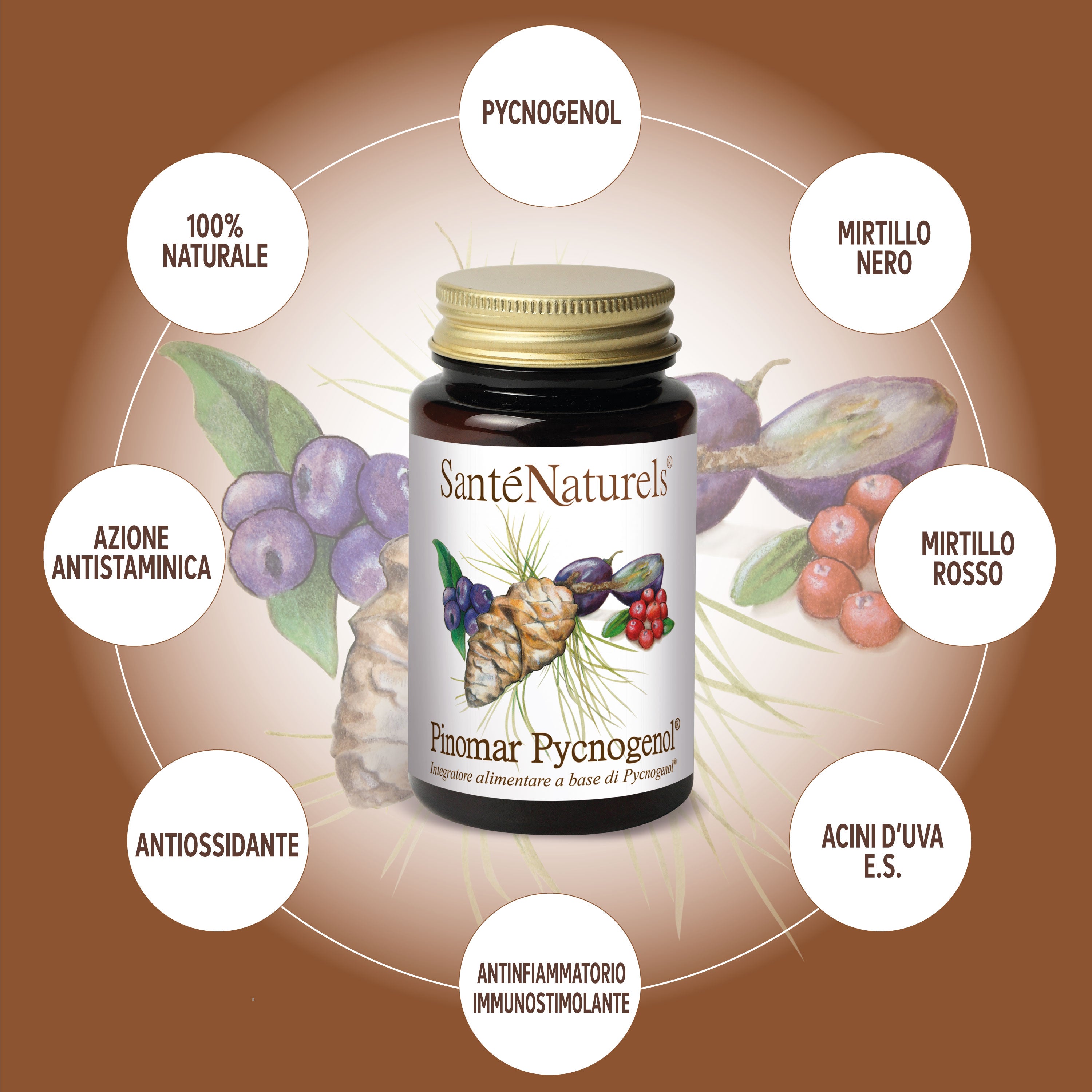 Pinomar Pycnogenol® 40mg por dosis diaria. Ojos, presión, articulaciones, circulación, piernas pesadas