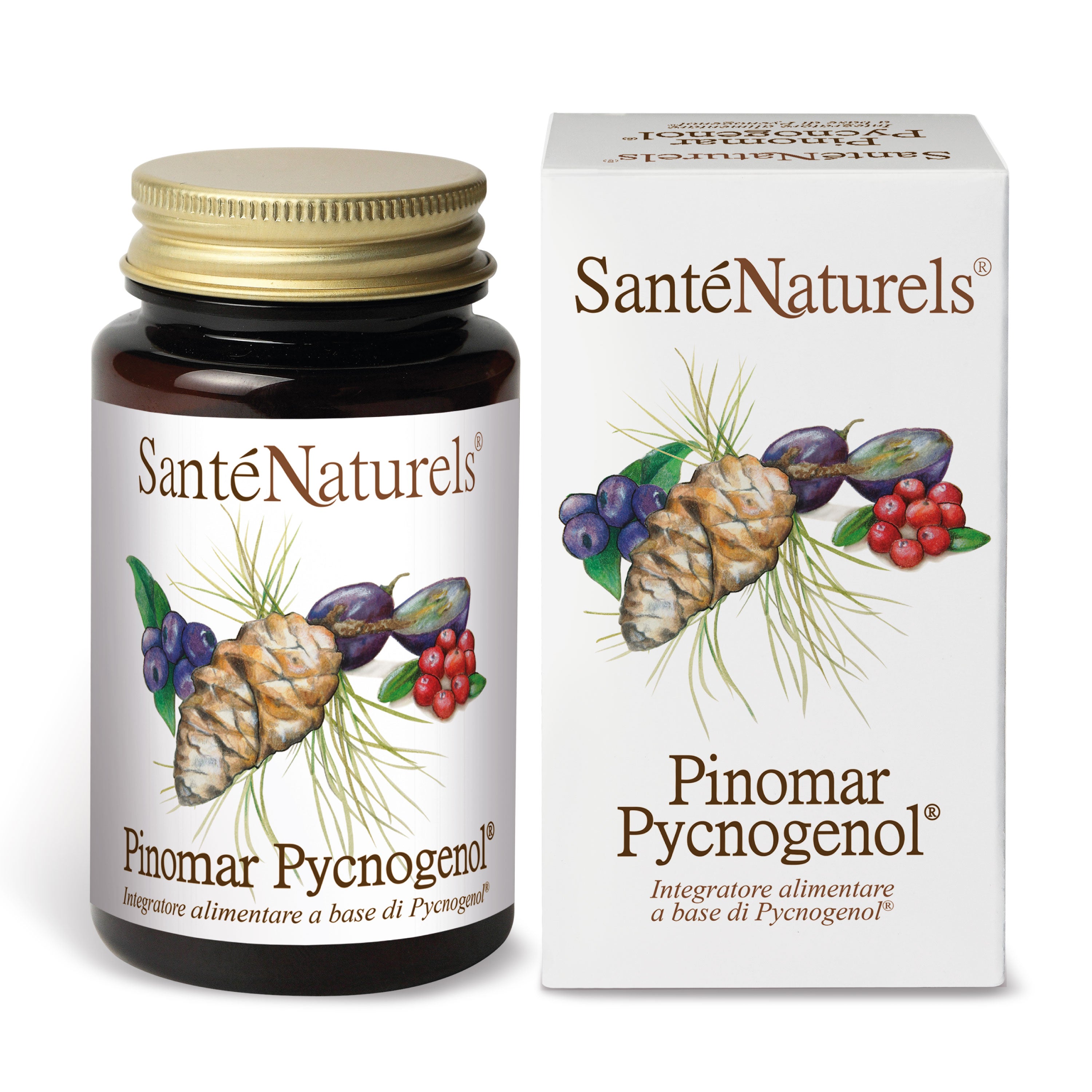 Pinomar Pycnogenol® 40mg por dosis diaria. Ojos, presión, articulaciones, circulación, piernas pesadas