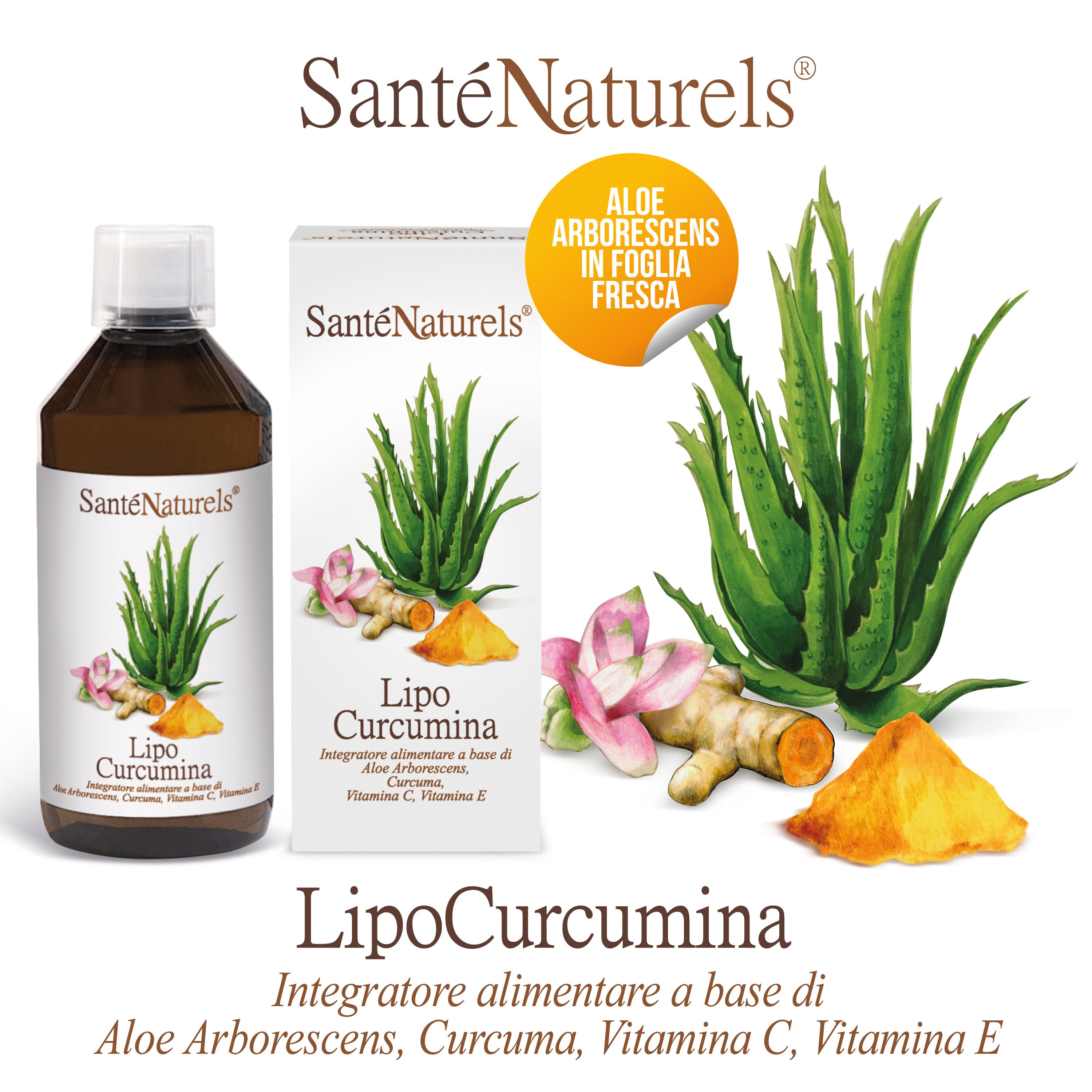 Curcumina liposomal. Lipocurcumina. Alta Absorción. En Liposomas Jarabe 500 ml