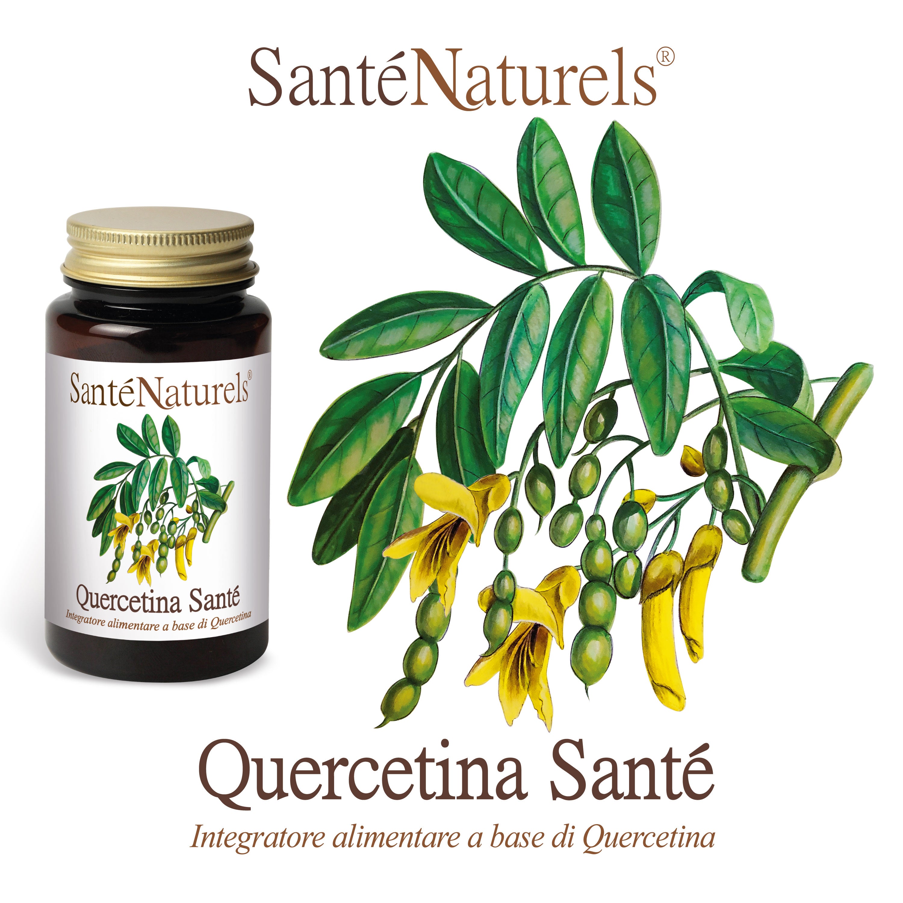 Quercetina Santé® 200 mg – 90 Capsule Vegetali Antiossidante Naturale