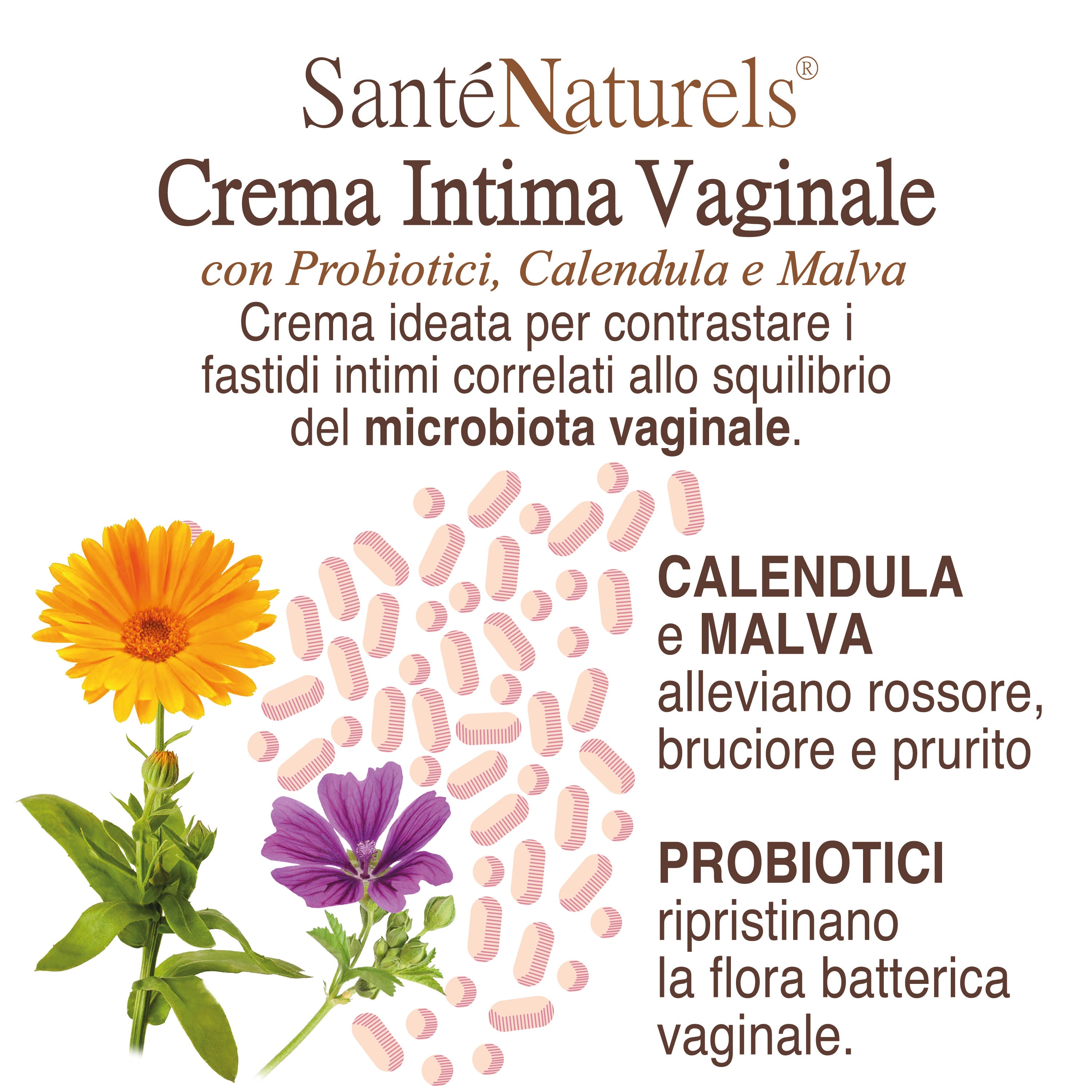 Crema Intima Vaginale Riequilibrante con Probiotici
