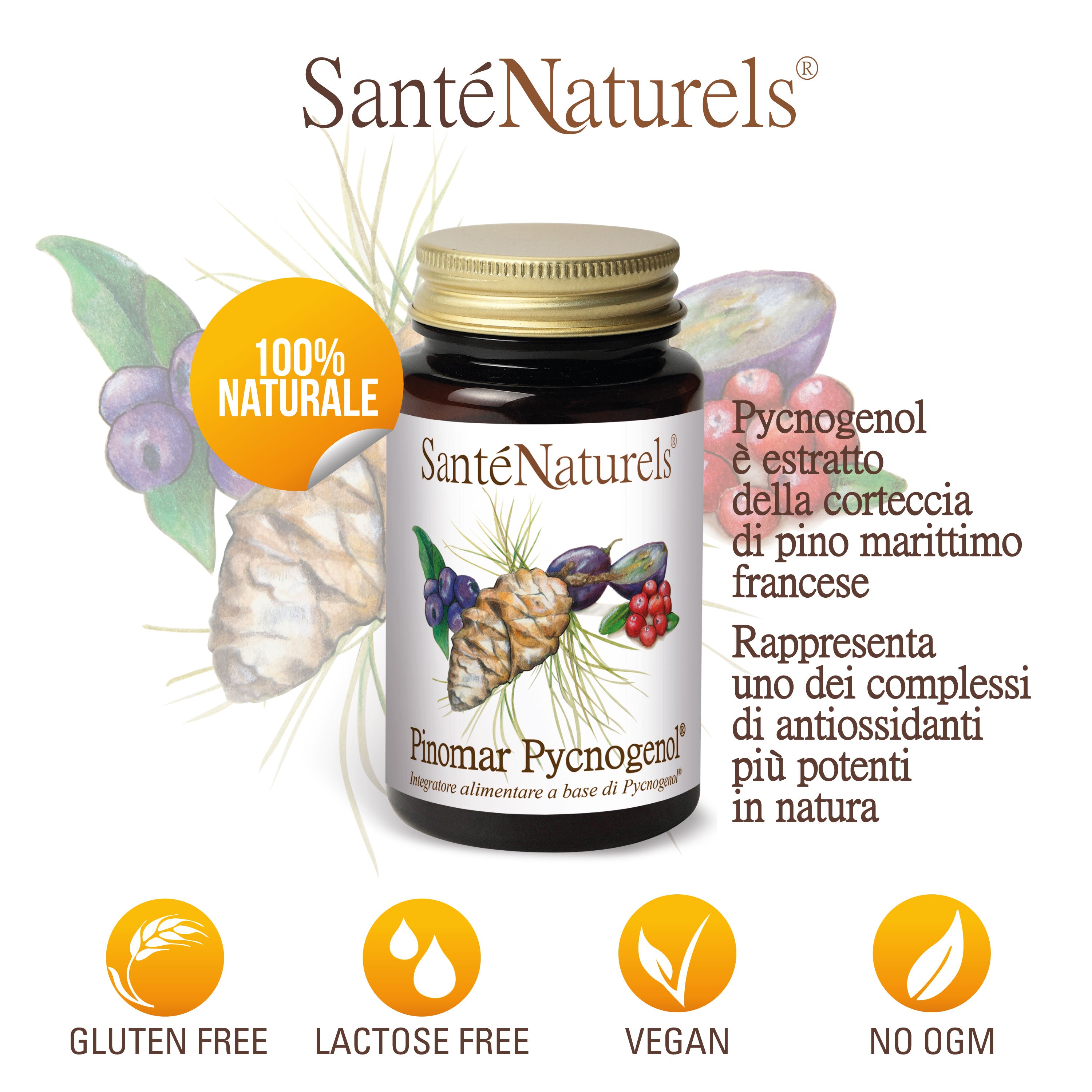 Pinomar Pycnogenol® 40mg por dosis diaria. Ojos, presión, articulaciones, circulación, piernas pesadas