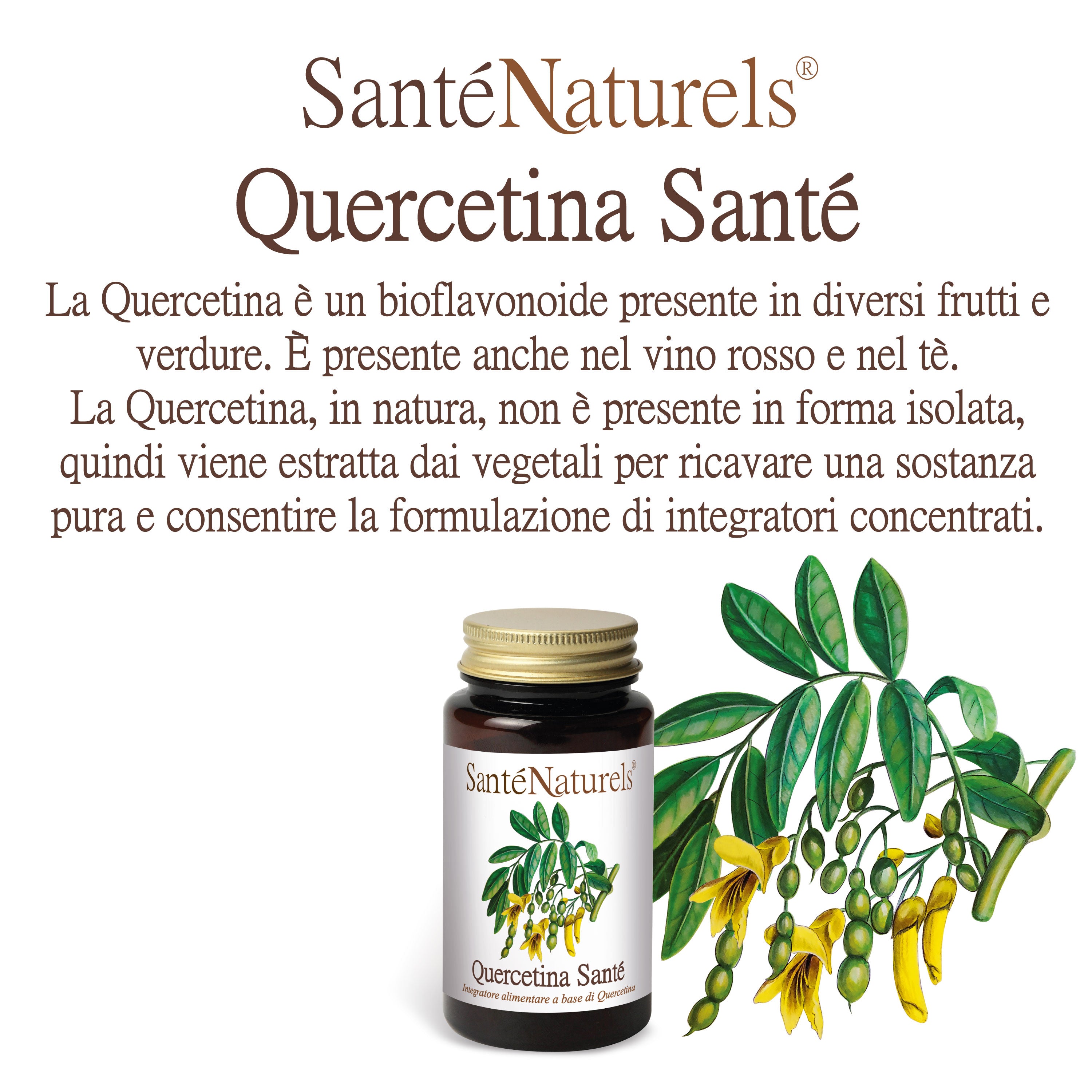 Quercetina Santé® 200 mg – 90 Capsule Vegetali Antiossidante Naturale