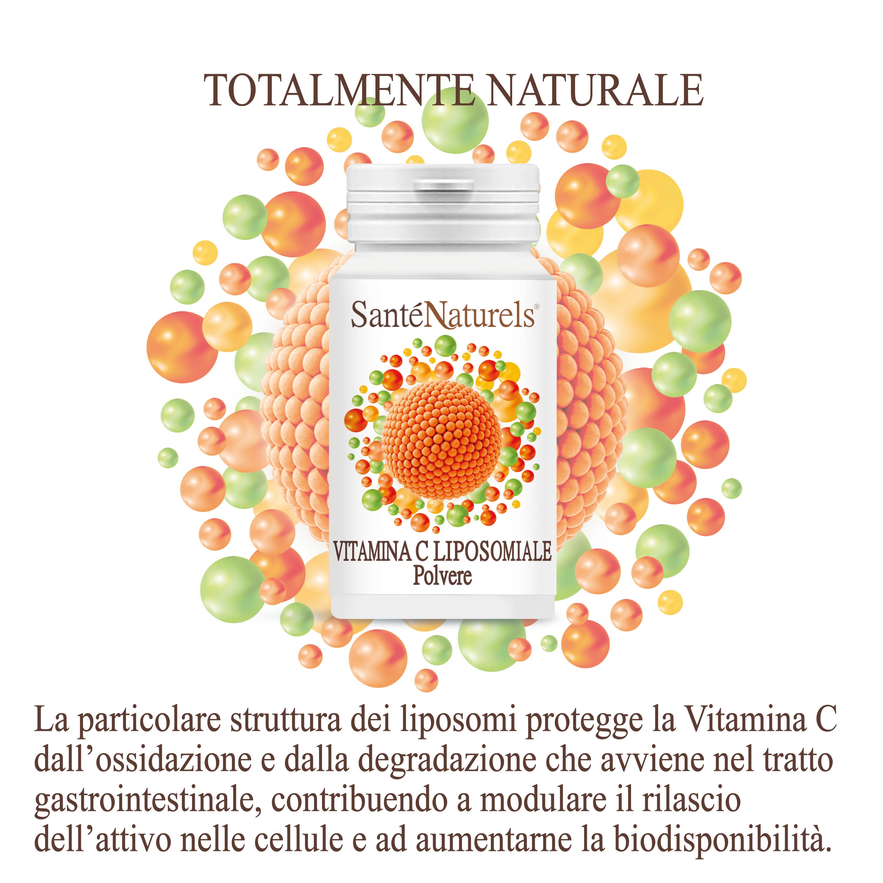 Vitamina C Liposomiale 100 grammi Polvere