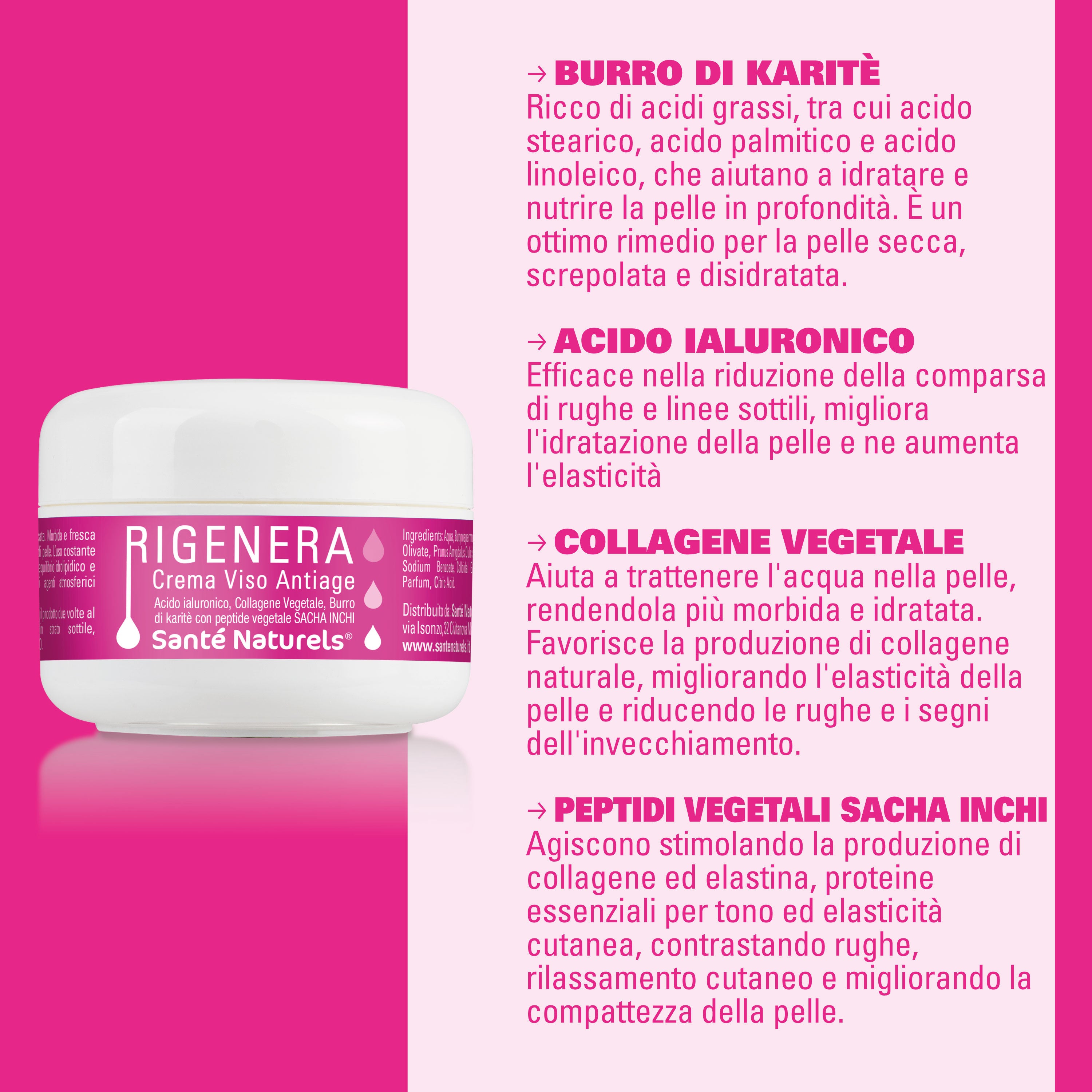 Rigenera – Anti-Aging Face Cream with Peptides 100 ml