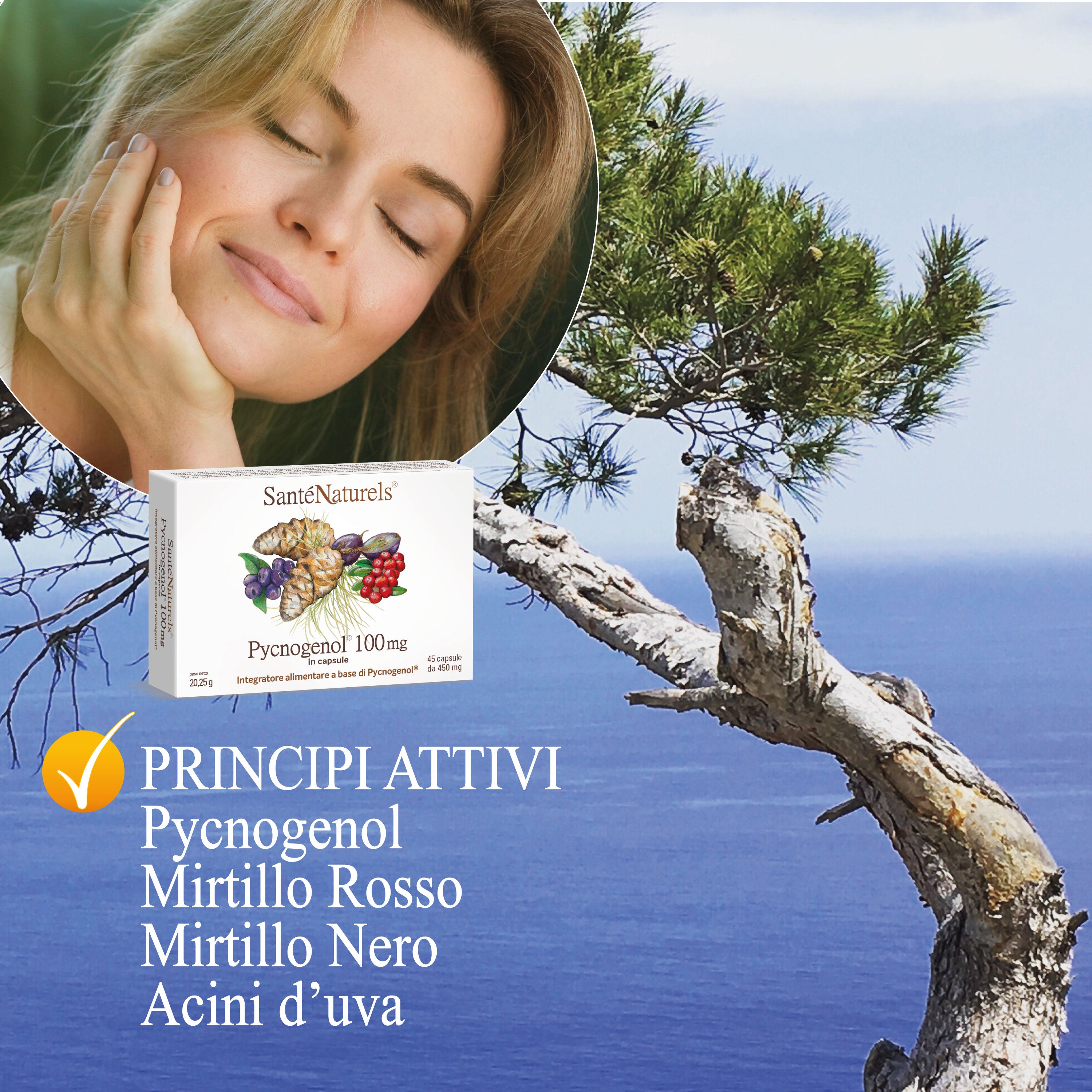 Pycnogenol® 100 mg per dose giornaliera – Occhi, Circolazione, Articolazioni