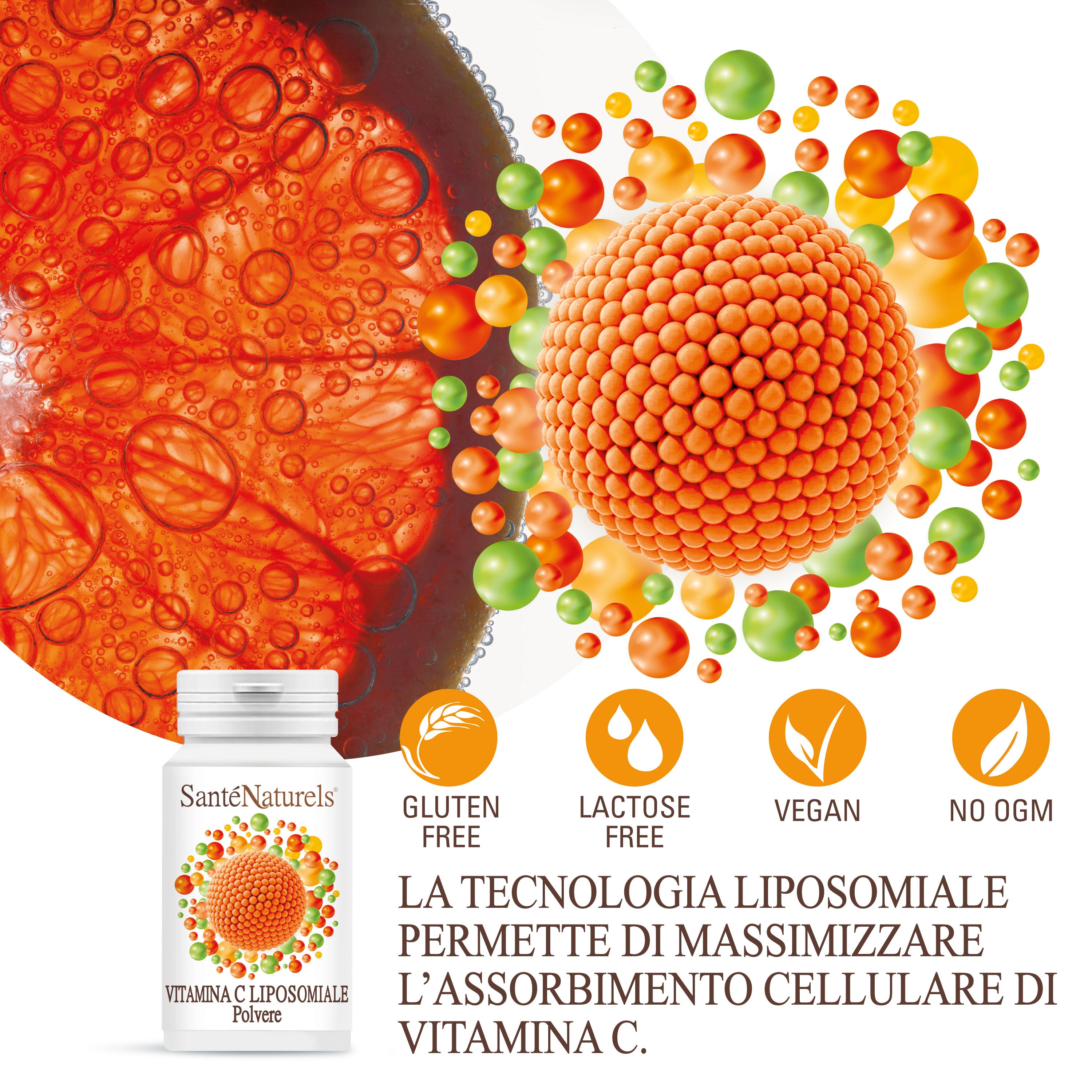 Vitamina C Liposomiale 100 grammi Polvere