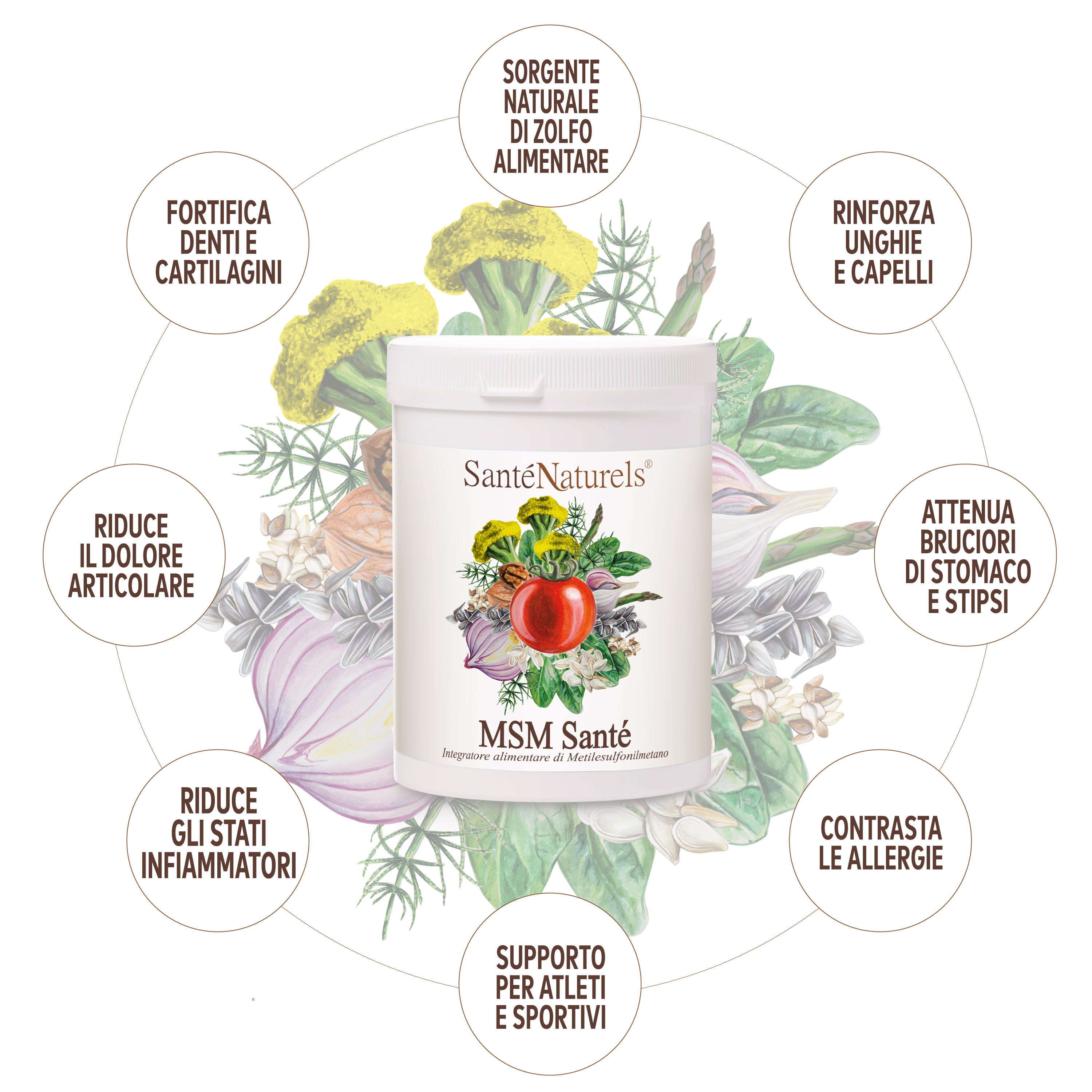 MSM per Ossa, Capelli, Unghie e Articolazioni – Metilsulfonilmetano Puro in Polvere 500 g