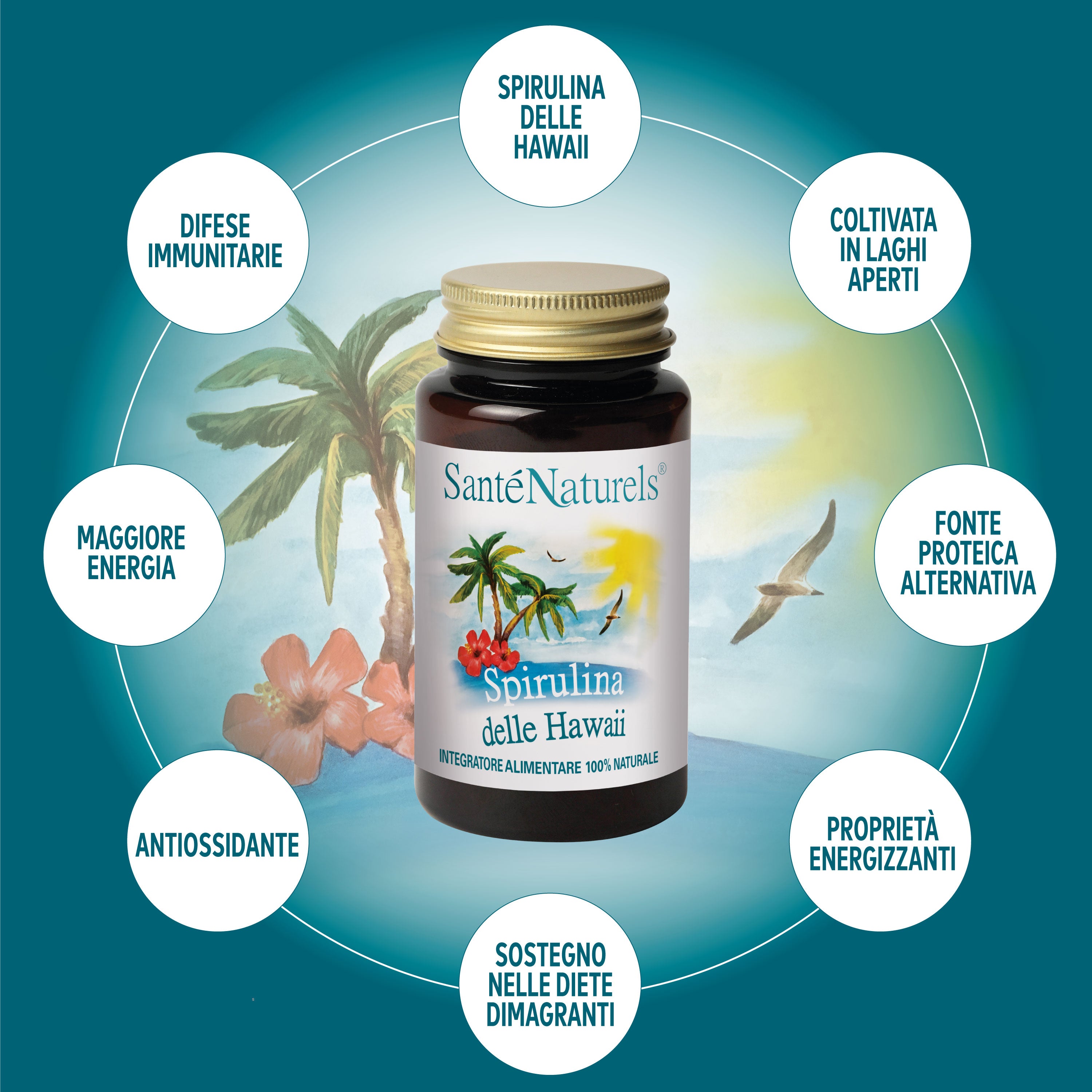 Spirulina delle Hawaii – Integratore Naturale Completo | 200 Compresse da 500 mg